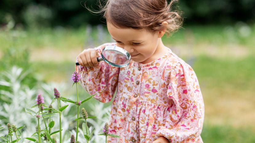Blumen-Namen für Mädchen: 35 blumige Namensideen zum Verlieben